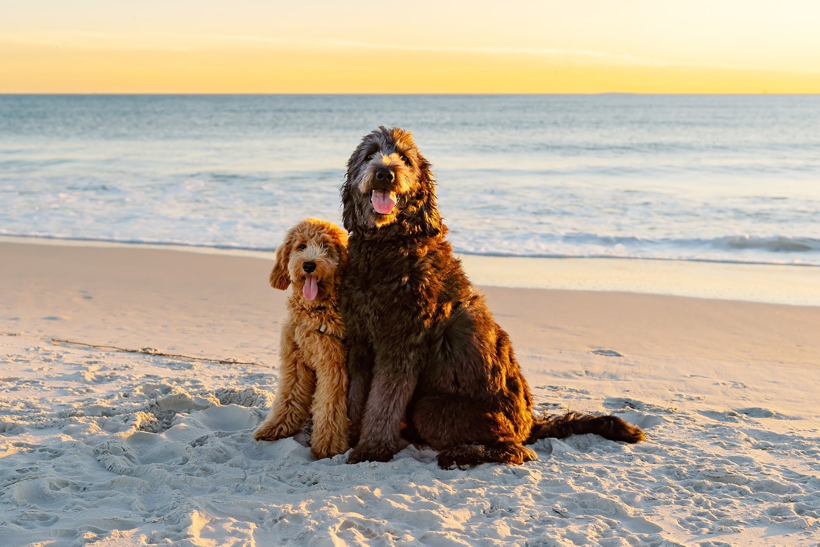 Comes family, Dauphin Island