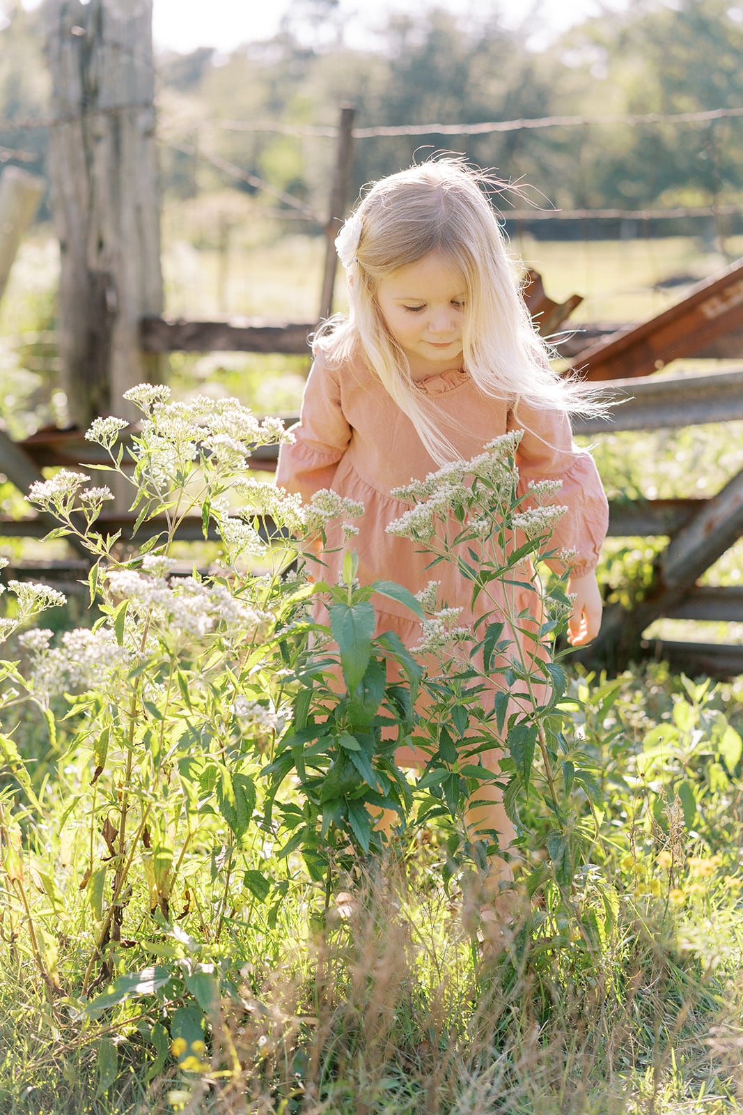 Fairbanks family, Mississippi Gulf Coast