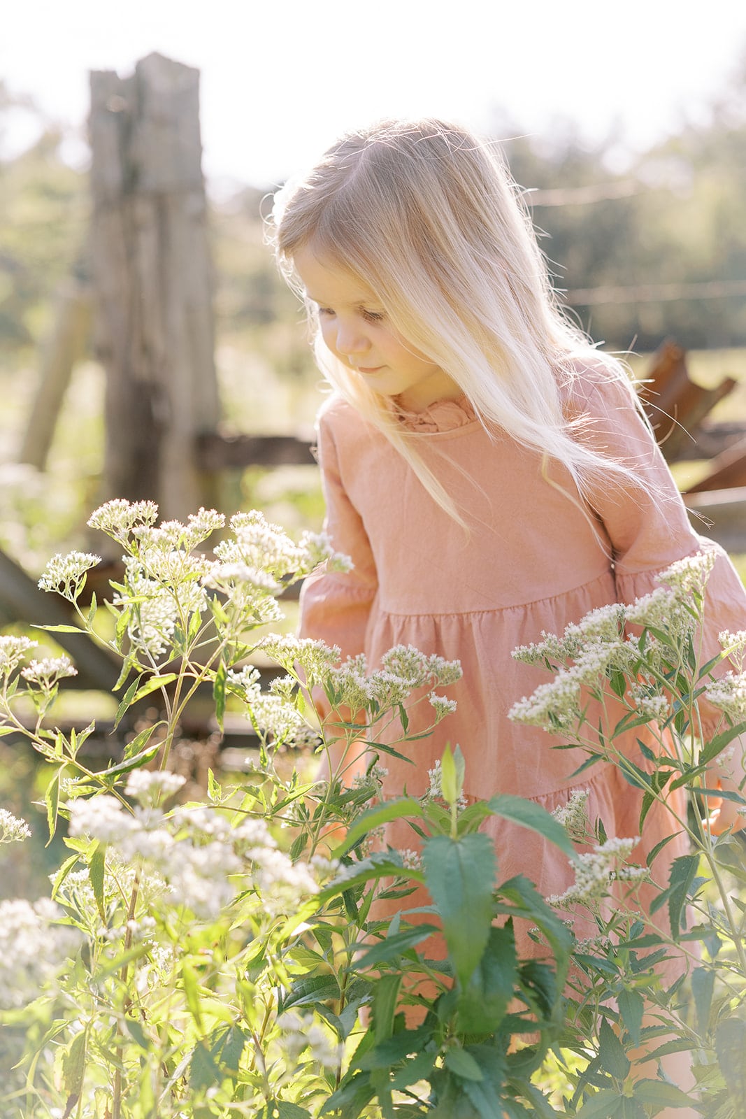 Fairbanks family, Mississippi Gulf Coast