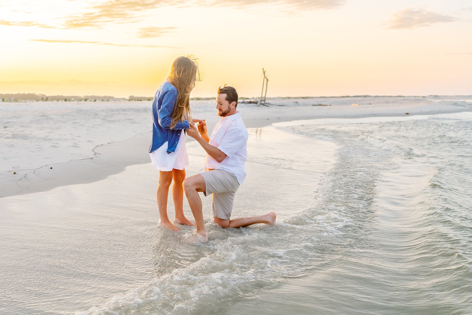 Giffen proposal, Dauphin Island