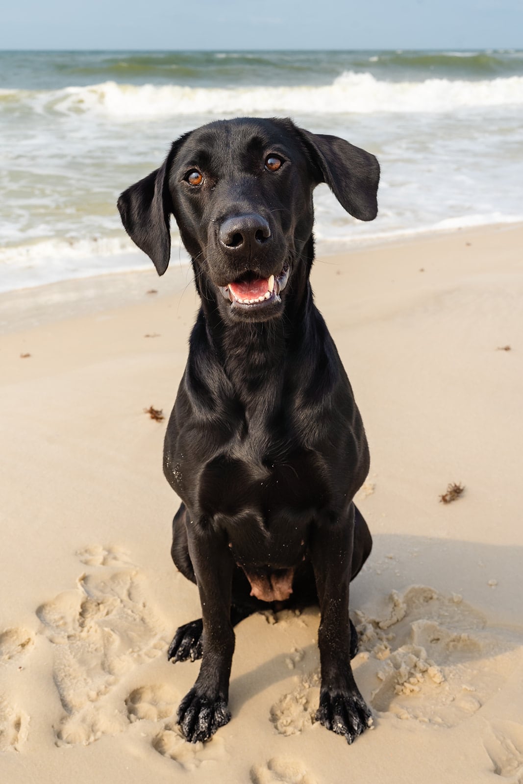 Hicks family, Orange Beach