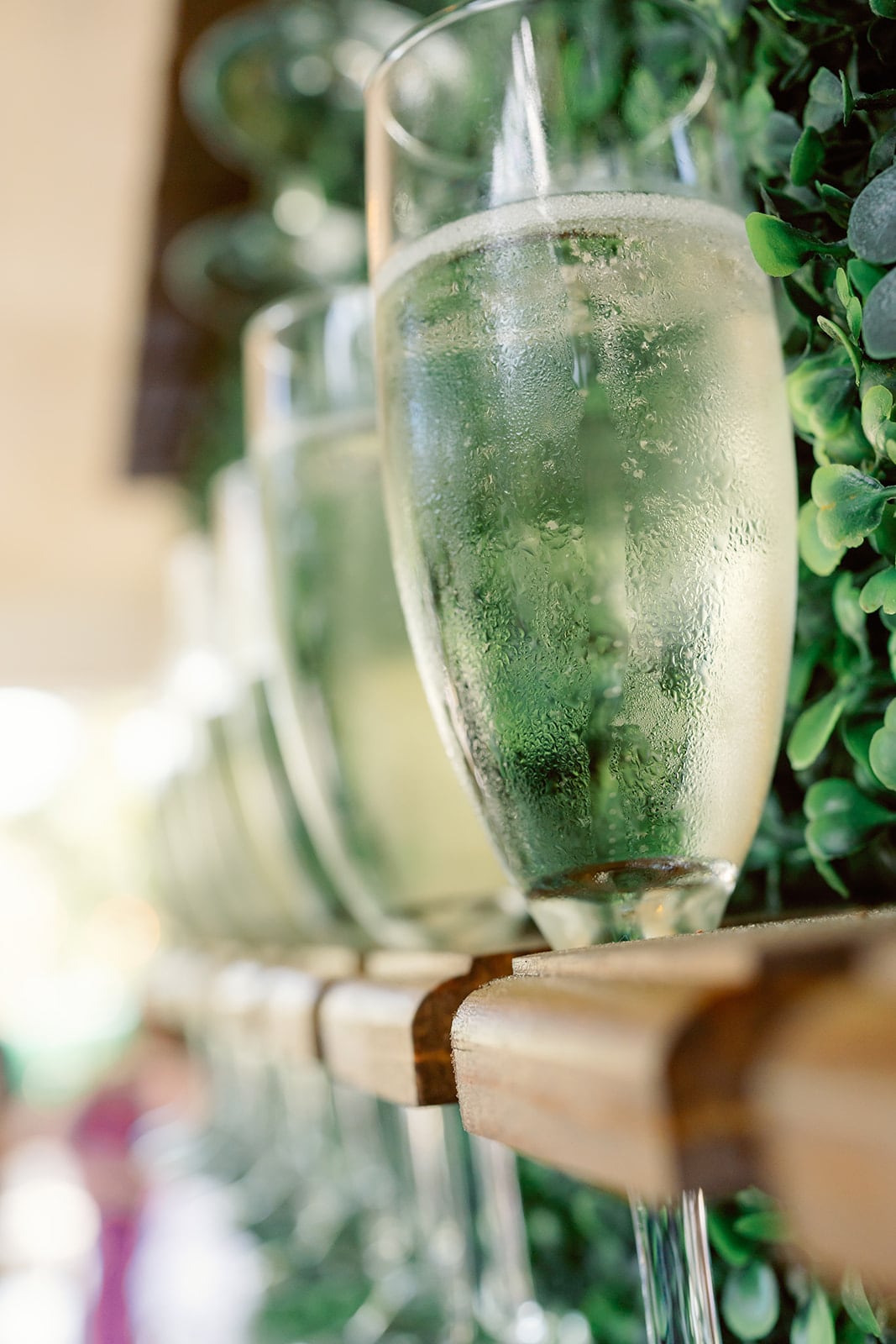 Hortop wedding, Ocean Springs