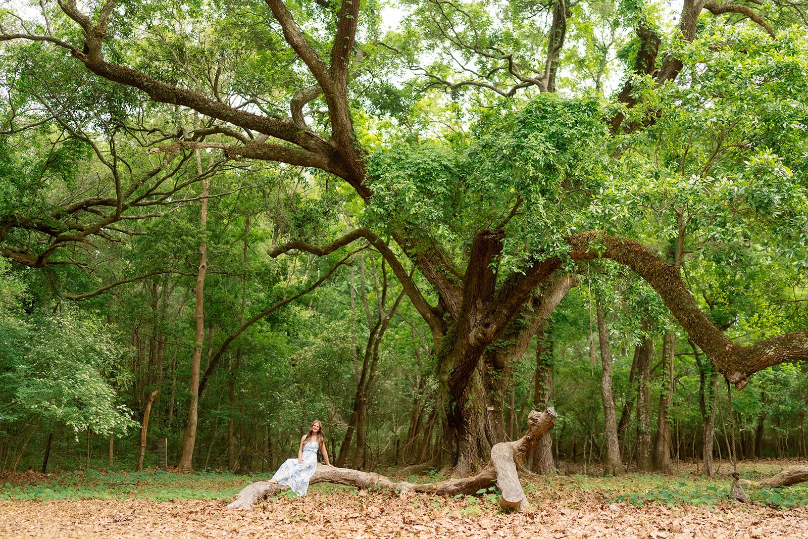 Hudson, senior portraits, Pensacola