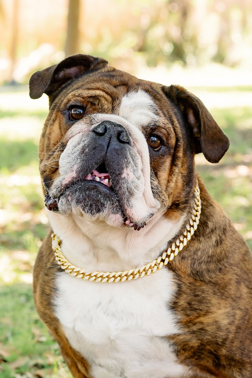 Hudson, senior portraits, Pensacola