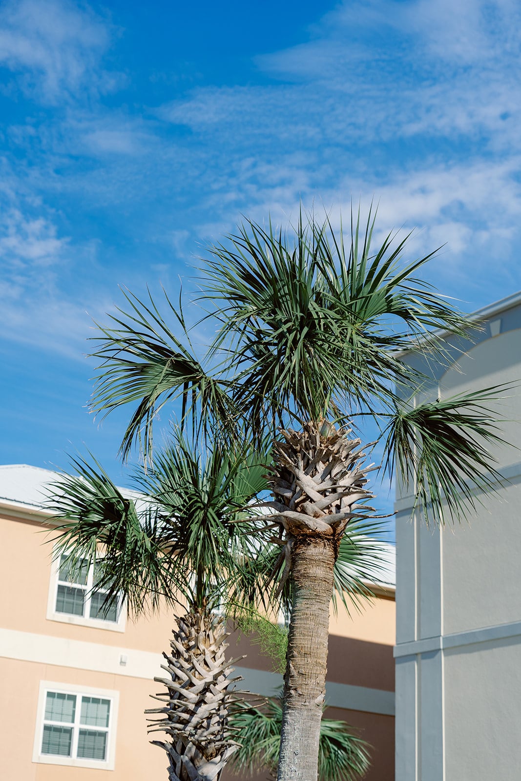 McGruder wedding, Dauphin Island