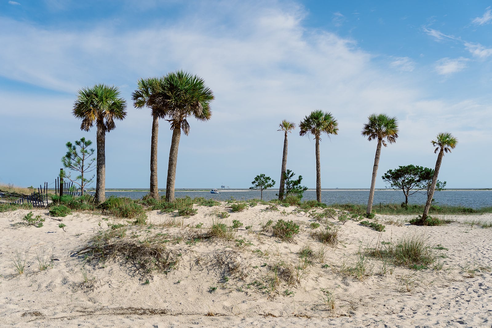 McGruder wedding, Dauphin Island