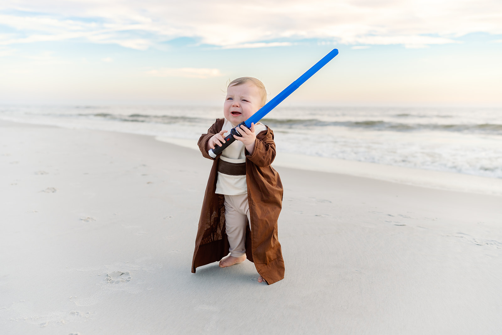 Ollie one-year milestone, Dauphin Island