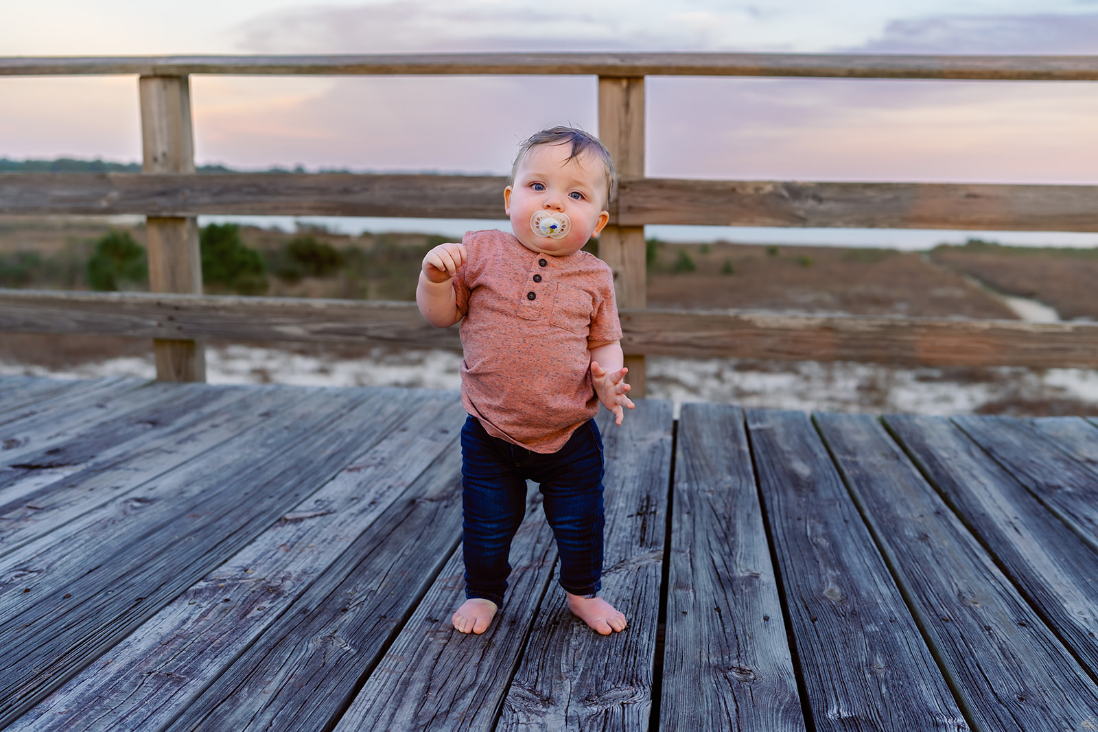 Ollie one-year milestone, Dauphin Island