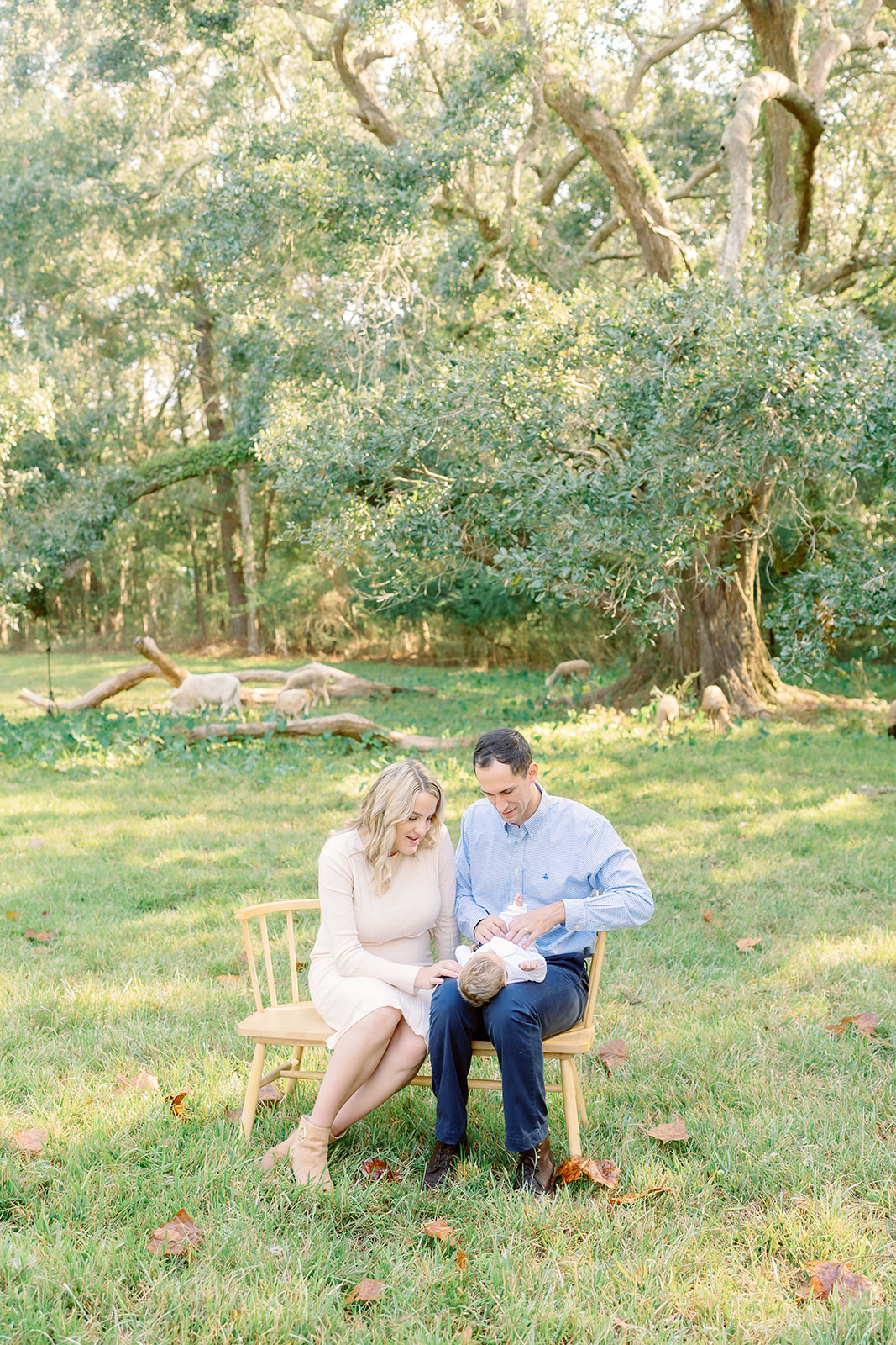 Pizzari lifestyle newborn session, Gulf Coast