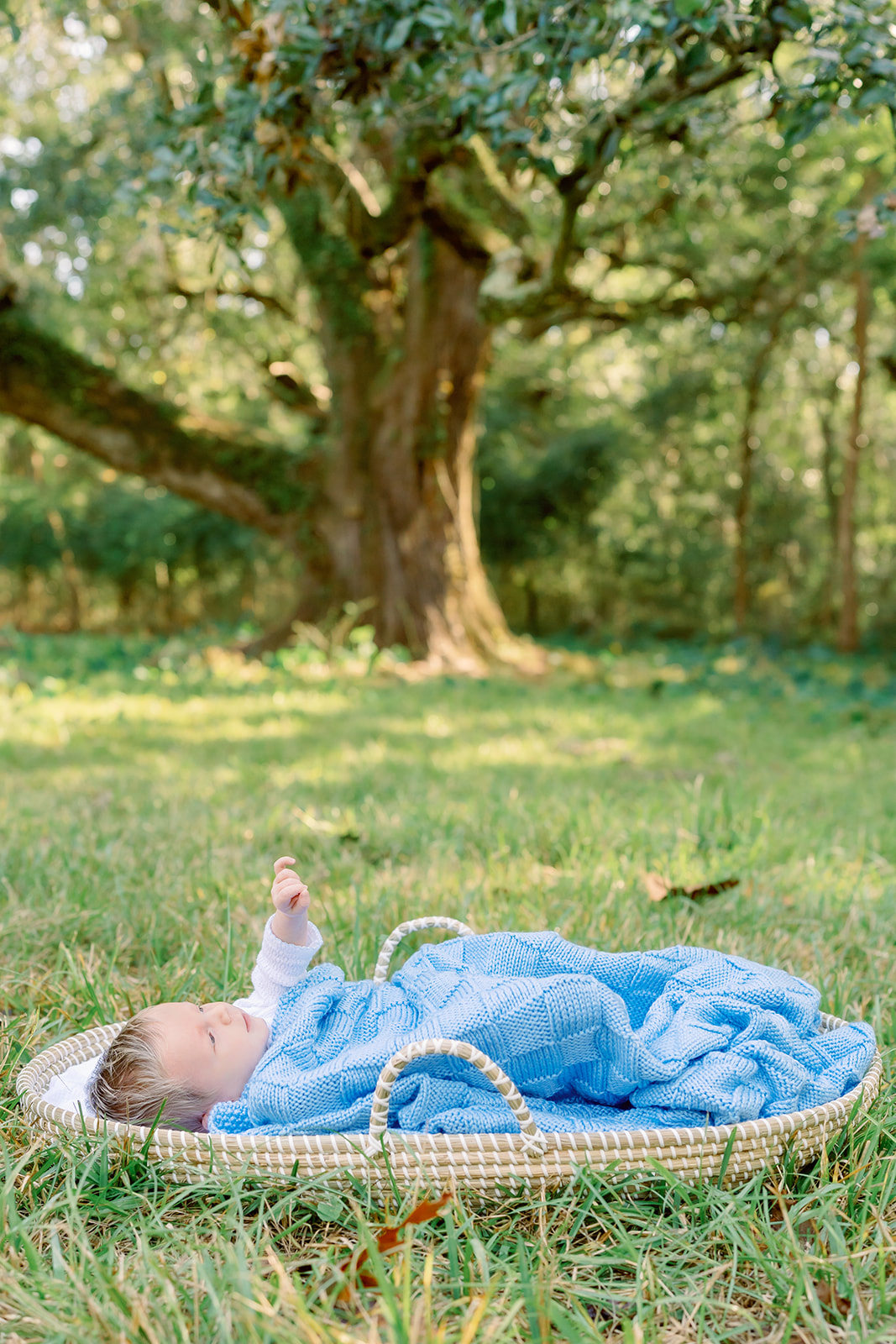 Pizzari lifestyle newborn session, Gulf Coast