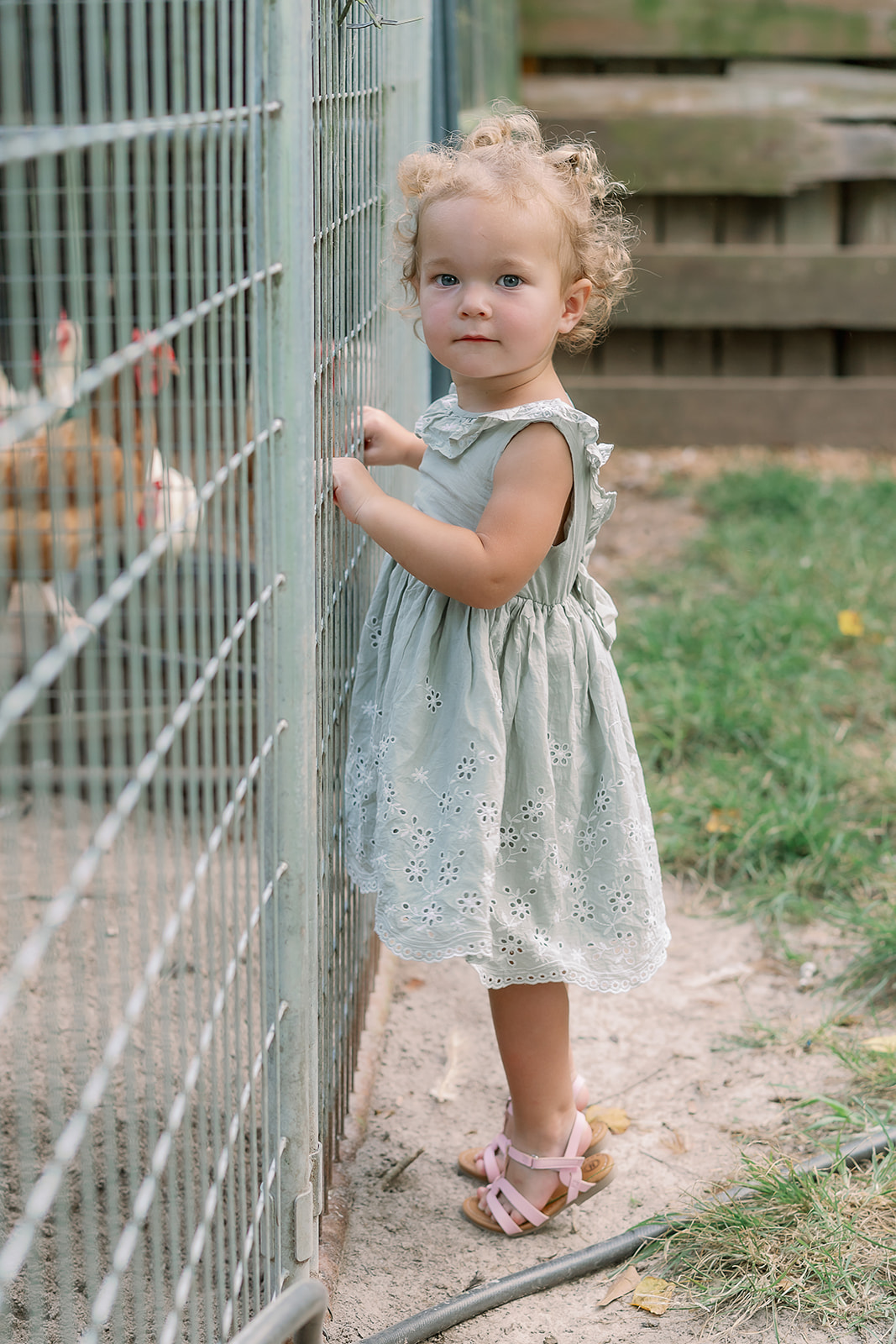 Plocher family, the farm in Gautier