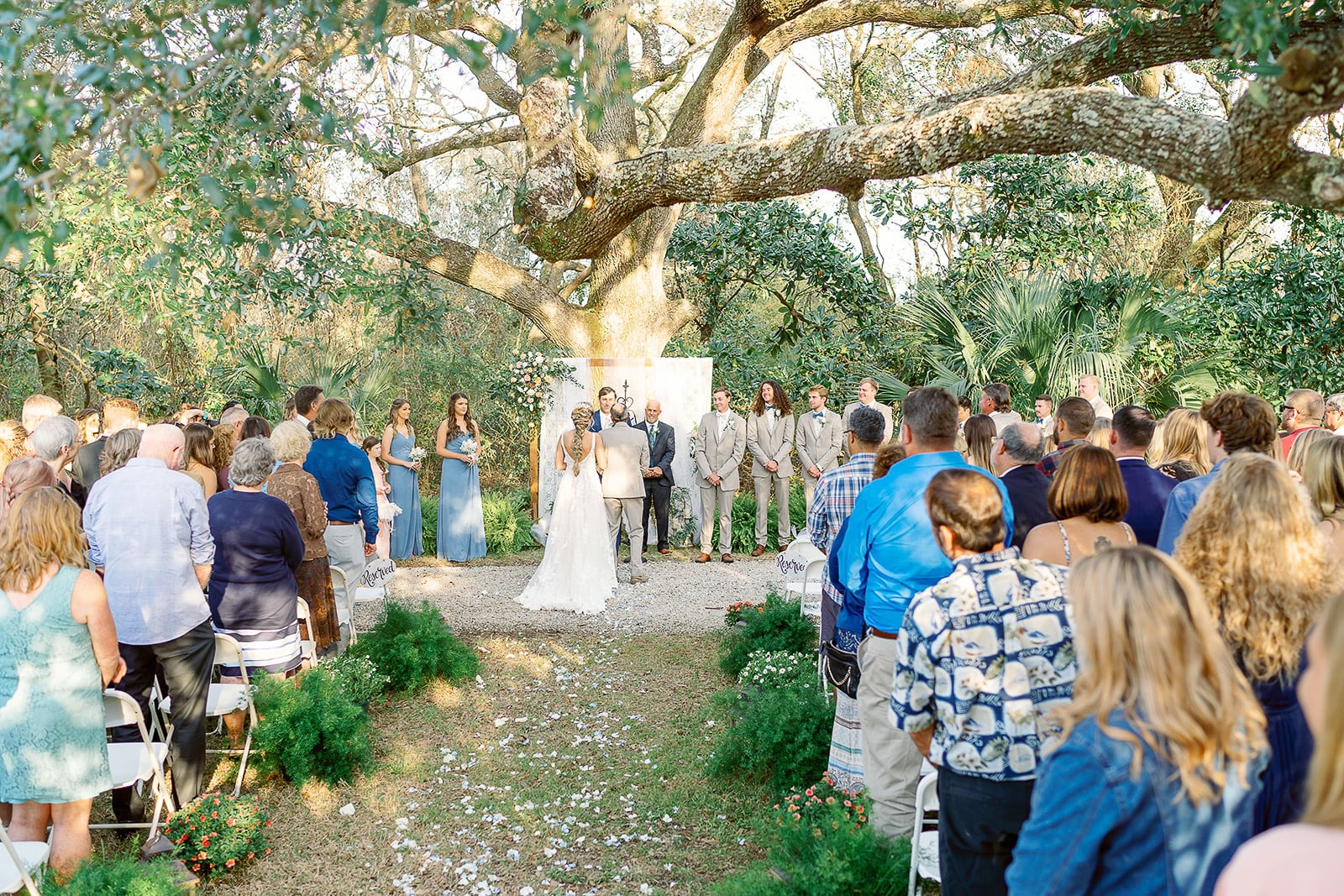 Santacruz wedding, Elberta