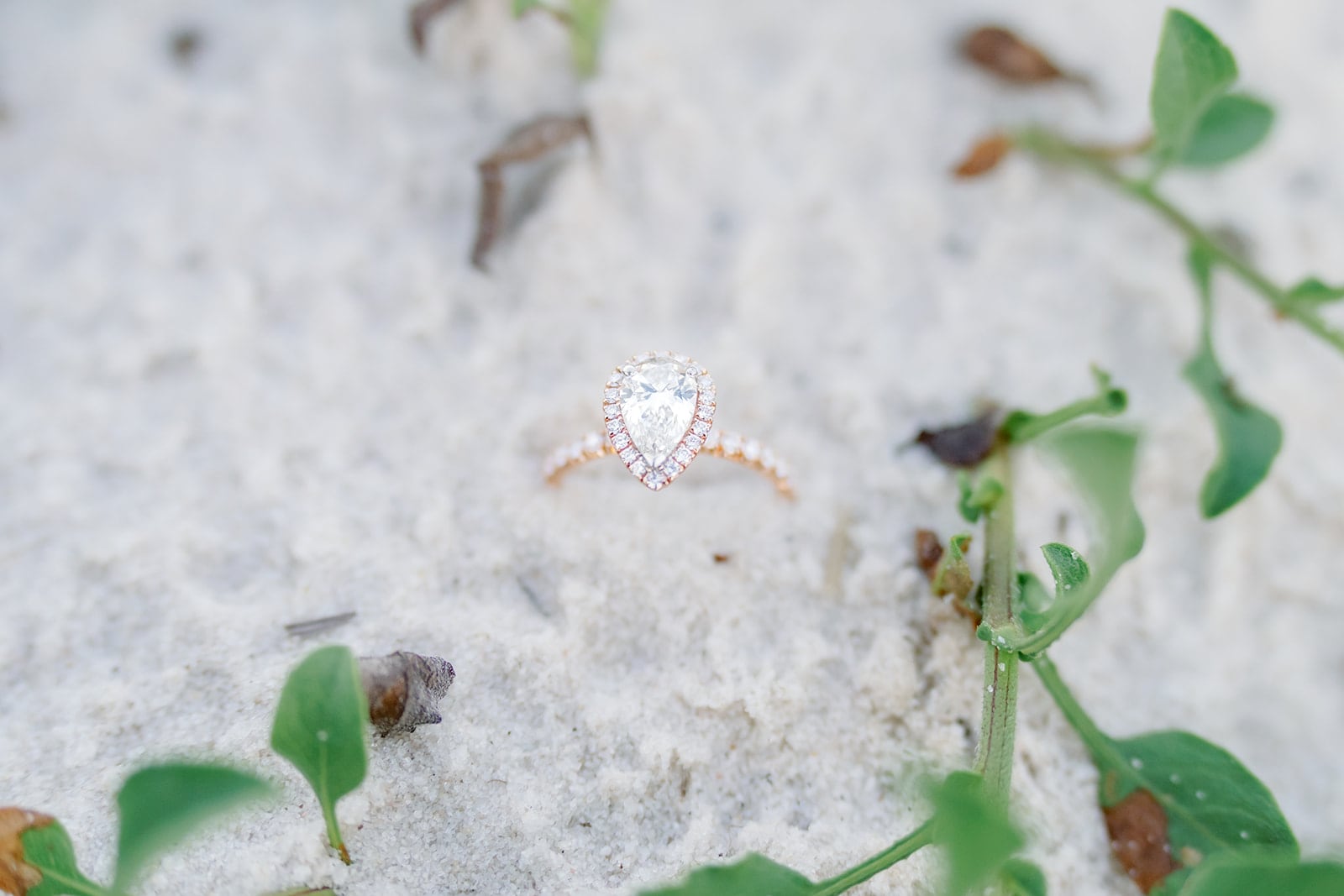 Strange proposal, Mississippi Gulf Coast