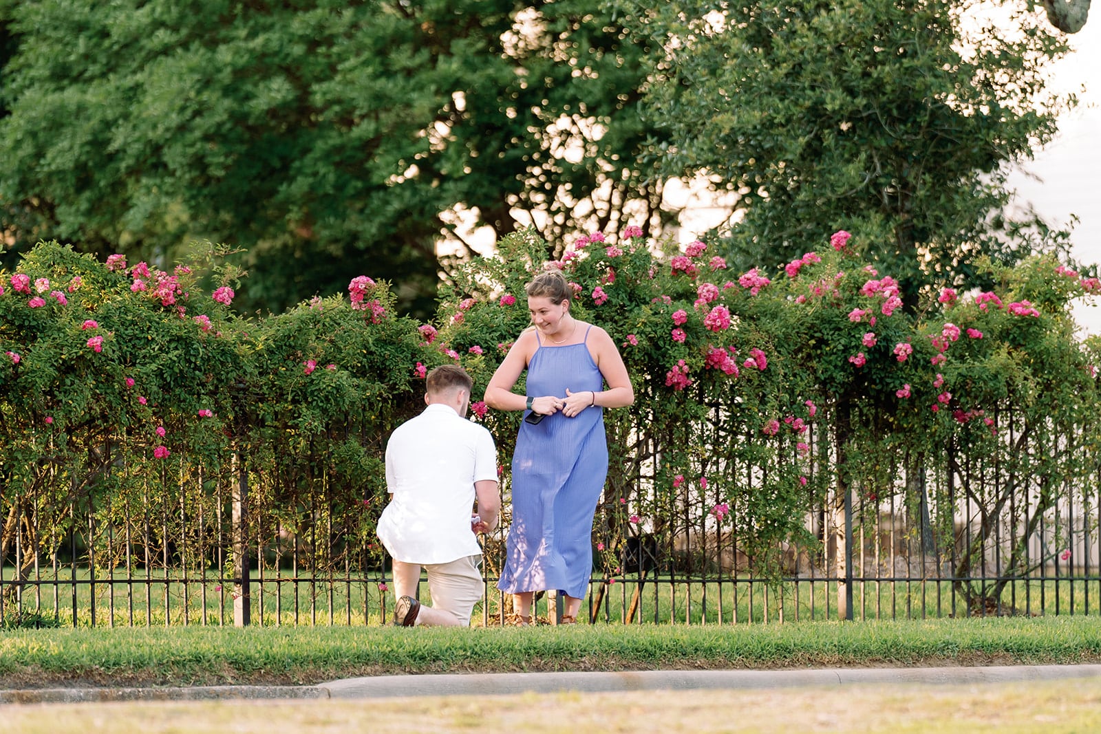 Strange proposal, Mississippi Gulf Coast