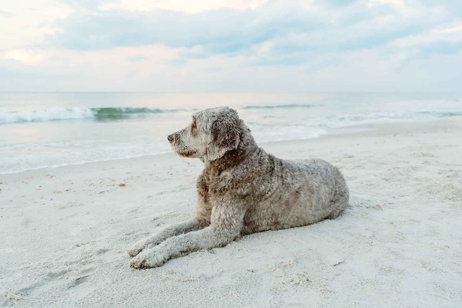 Weaver family, Dauphin Island