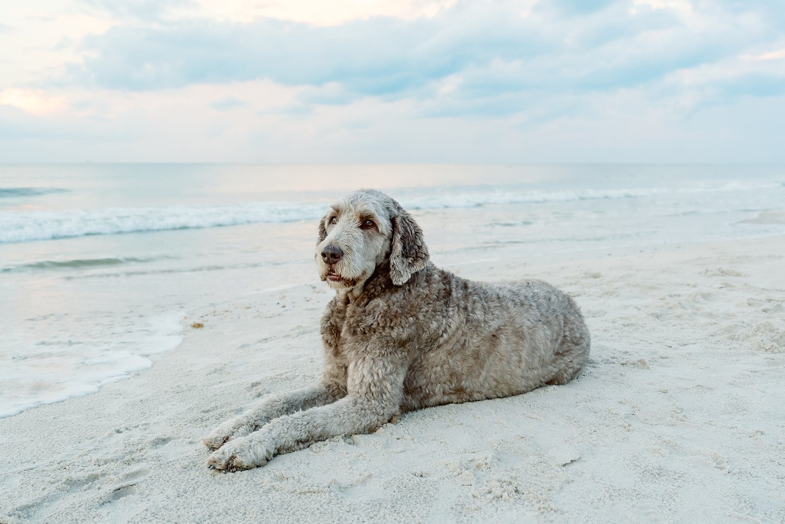 Weaver family, Dauphin Island