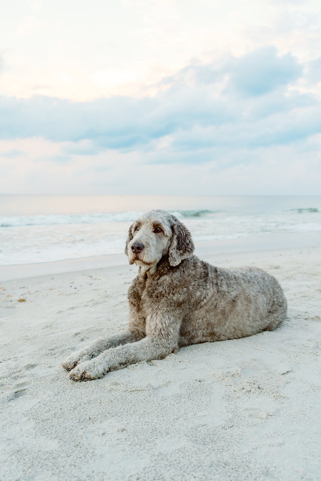 Weaver family, Dauphin Island