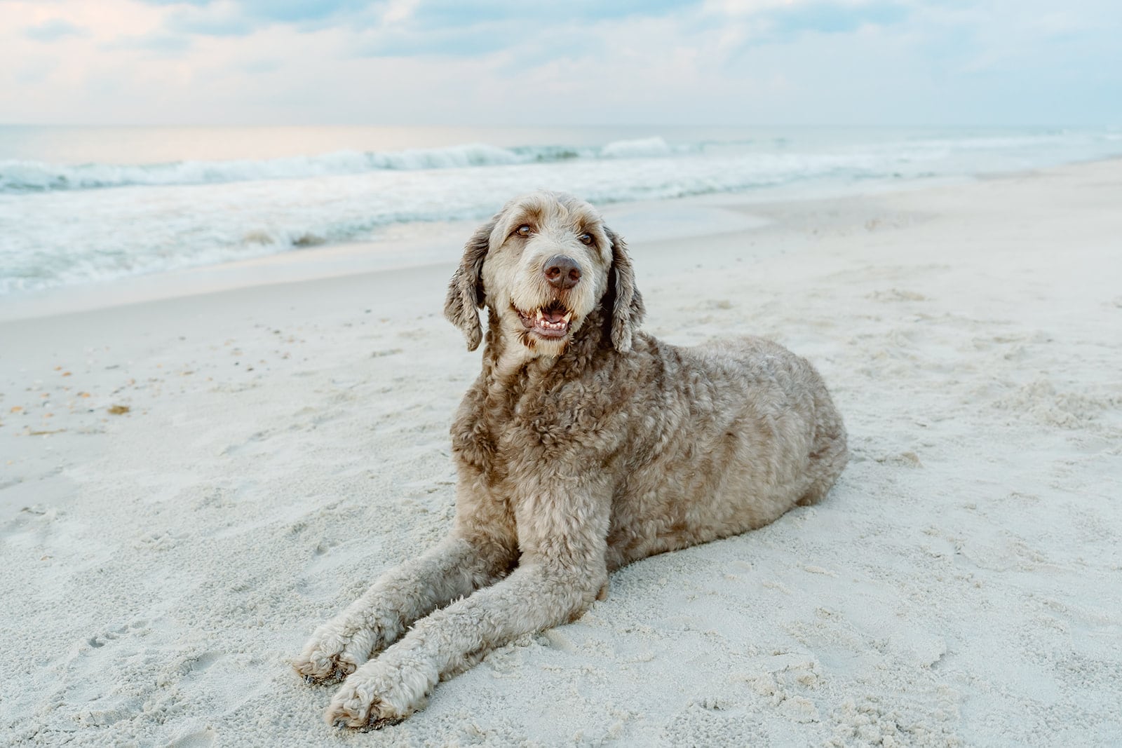 Weaver family, Dauphin Island