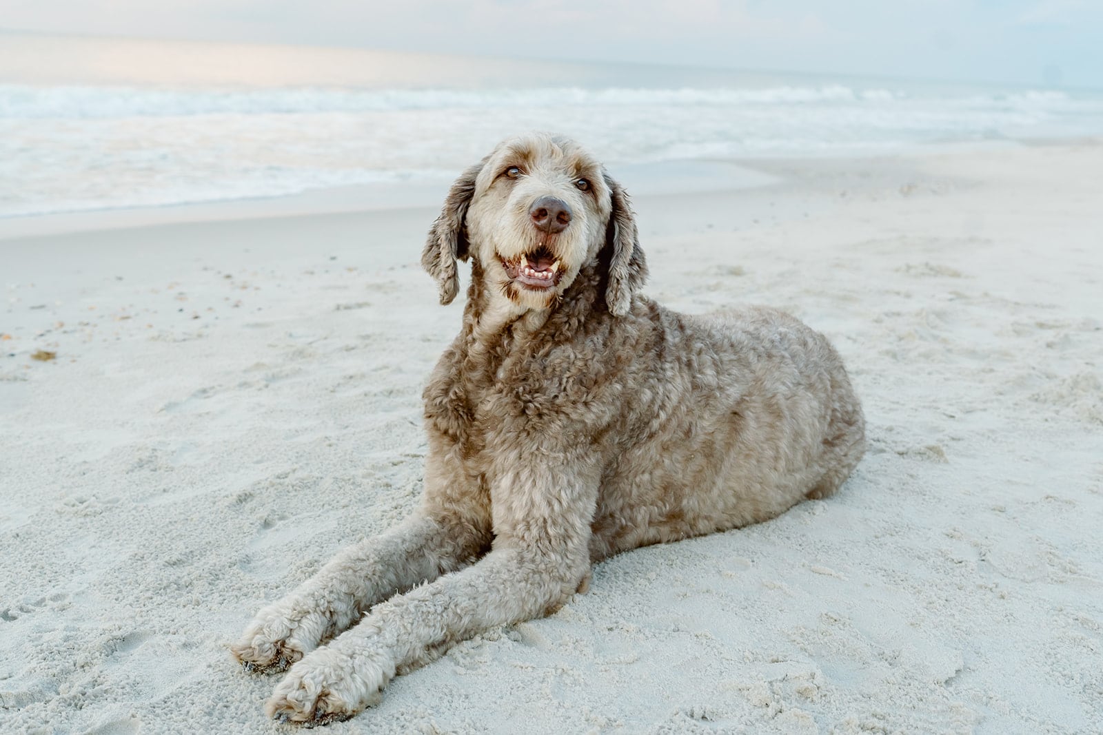 Weaver family, Dauphin Island