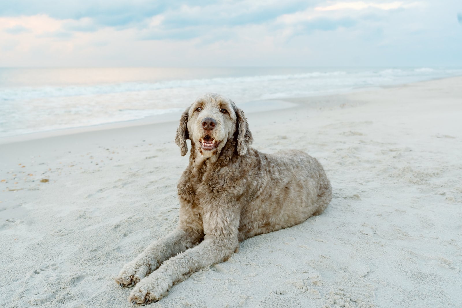 Weaver family, Dauphin Island