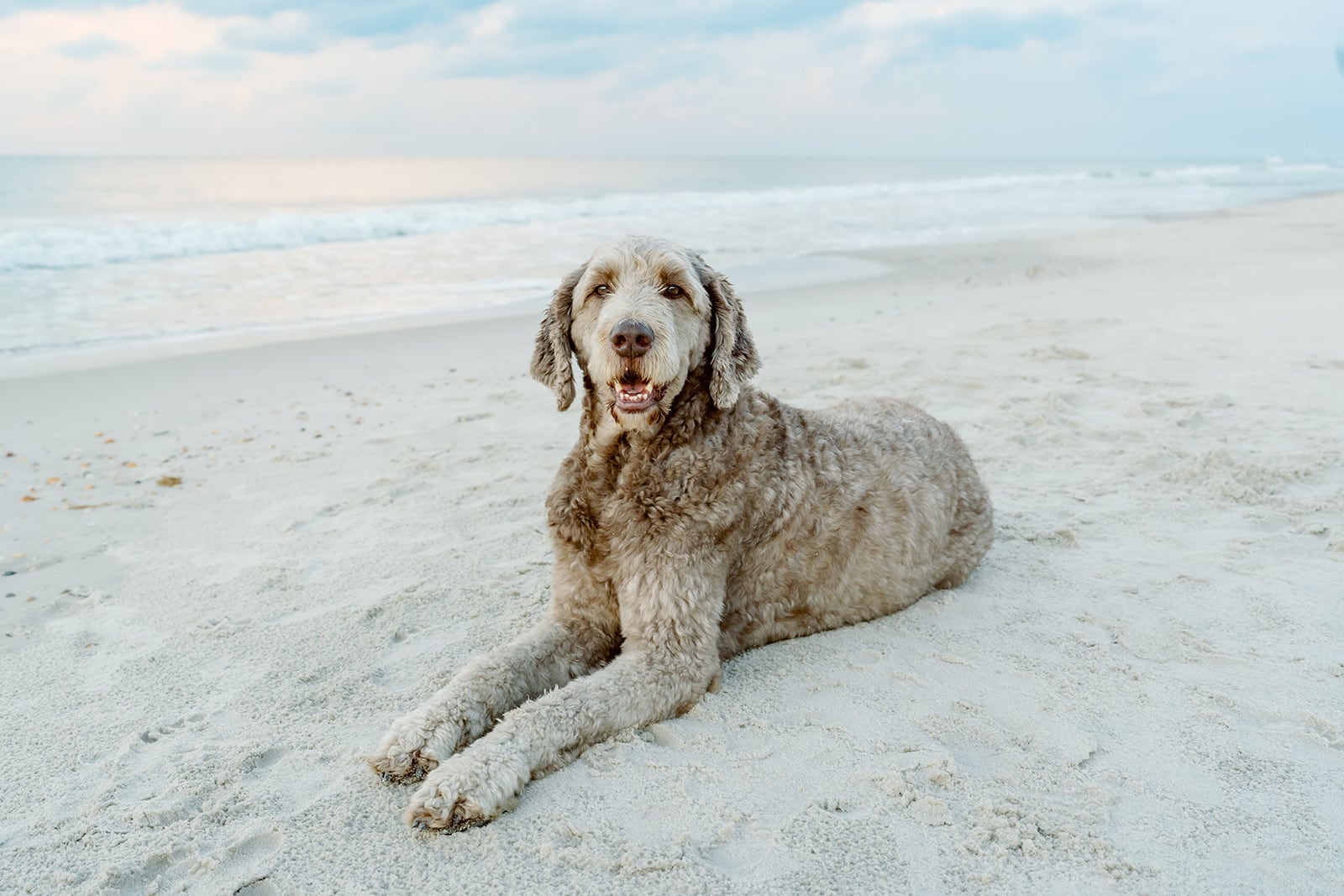 Weaver family, Dauphin Island