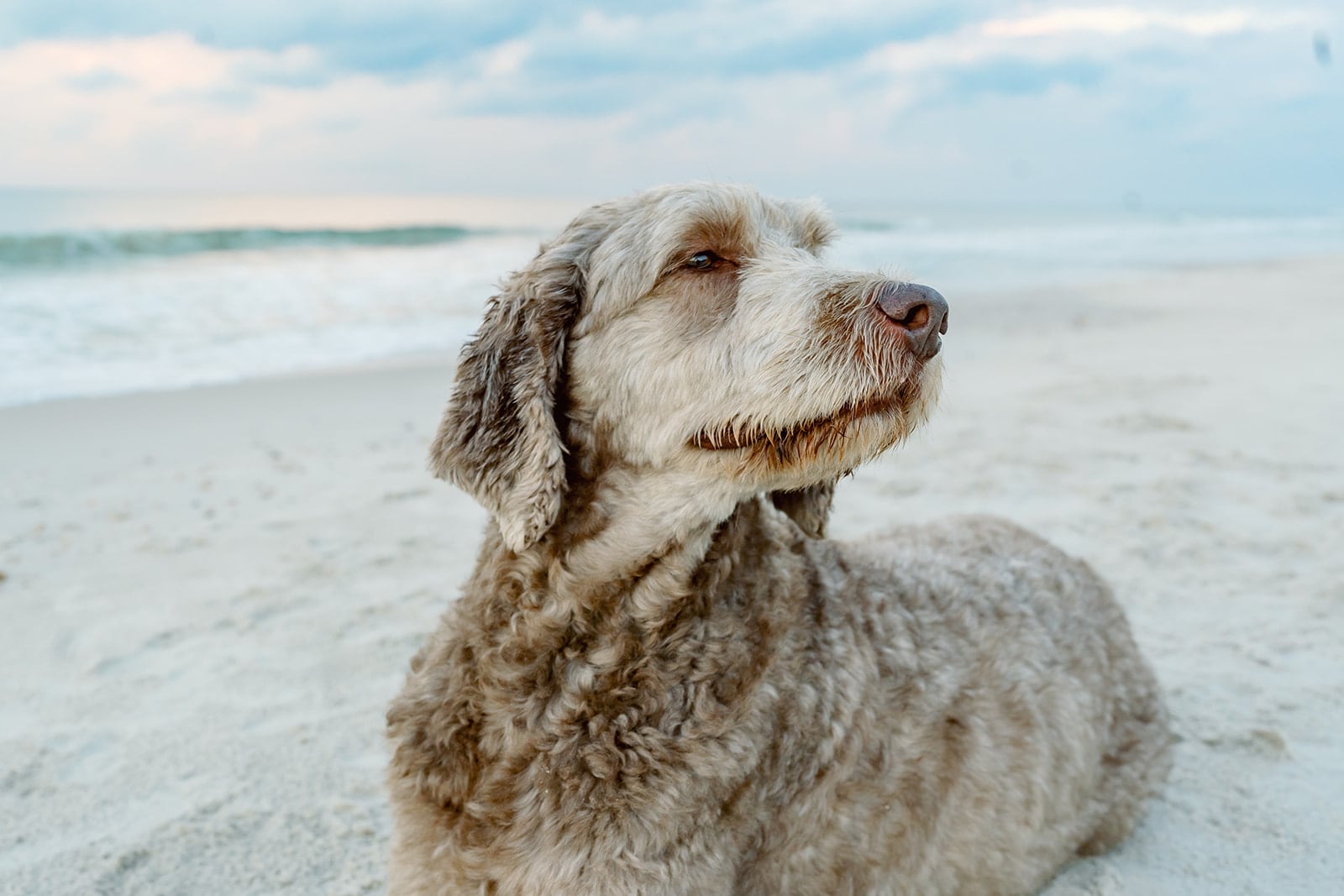 Weaver family, Dauphin Island