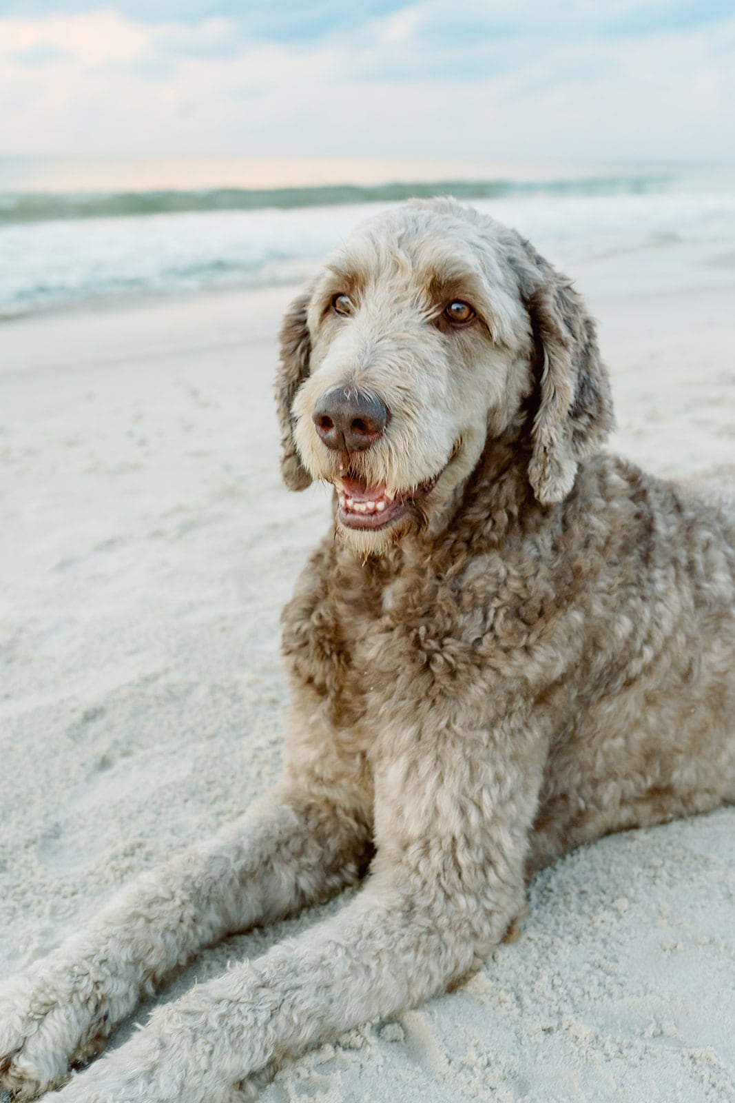 Weaver family, Dauphin Island