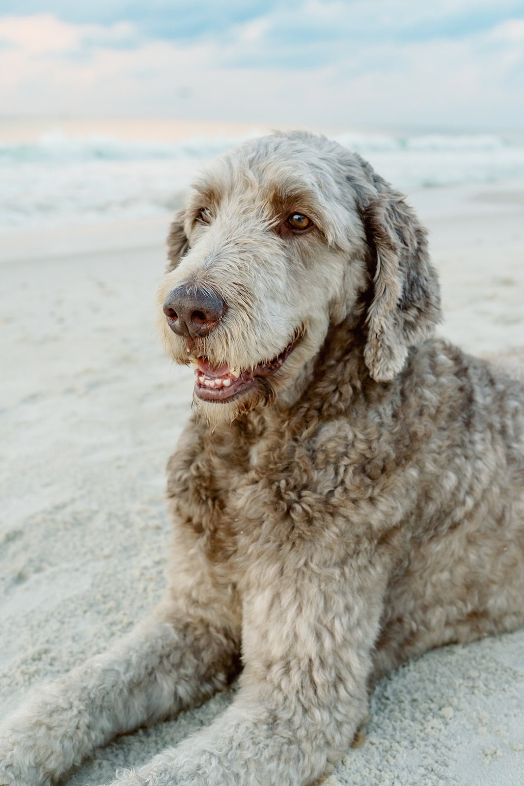 Weaver family, Dauphin Island