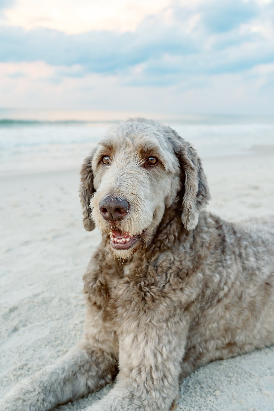 Weaver family, Dauphin Island
