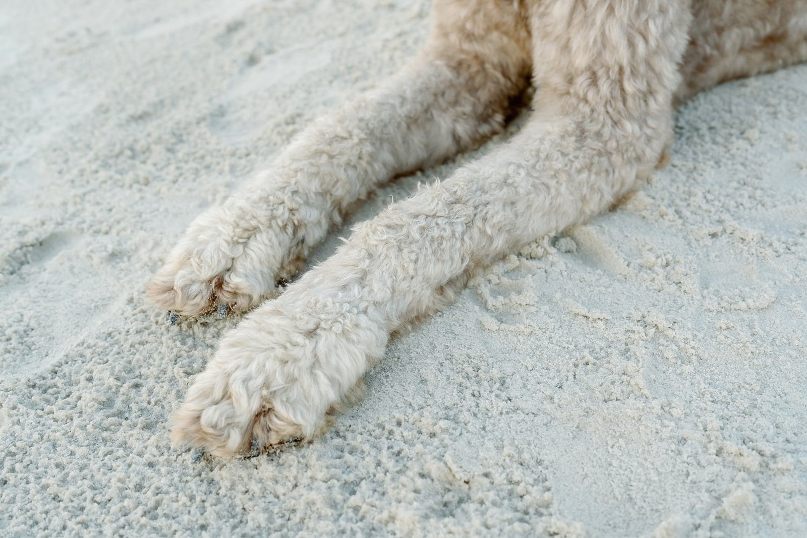 Weaver family, Dauphin Island